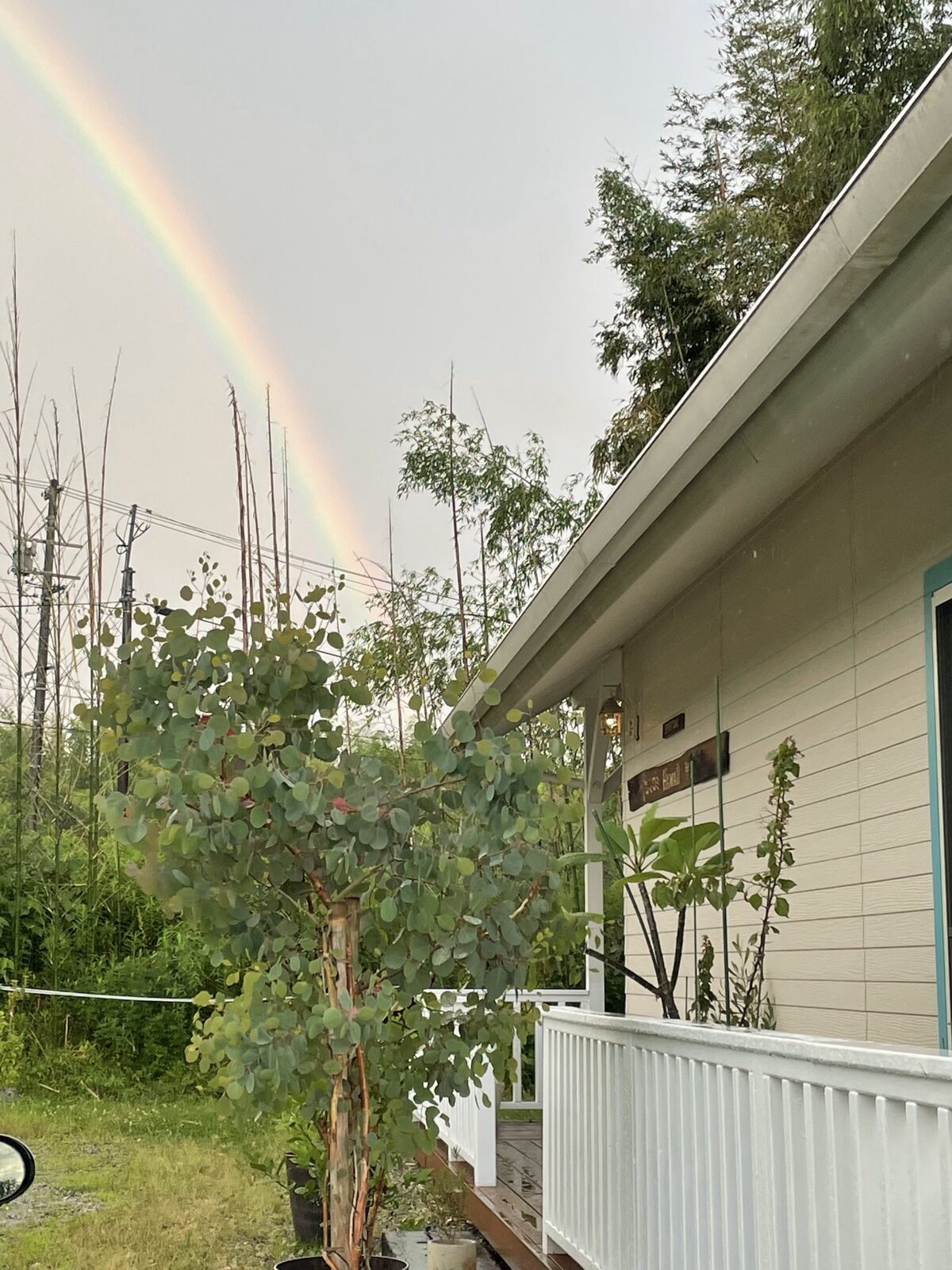 HARUMI'S HAWAII の建物と、空にかかる虹
